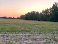 Hundeauslaufgebiet-Mauerweg - Im Roten Dudel/ Mahlow-Bild