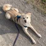 Ersteller:in Anna Profilbild