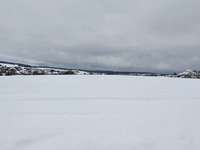 Hundeauslaufgebiet-Feldweg Syrgenstein-Bild