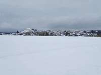 Hundeauslaufgebiet-Feldweg Syrgenstein-Bild