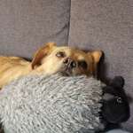 Ersteller:in Jessica Profilbild