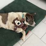 Ersteller:in Sarah Profilbild