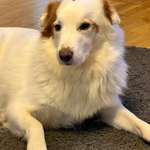 Ersteller:in Jessica Profilbild