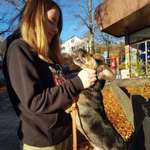 Ersteller:in Denise Profilbild