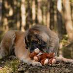 Ersteller:in Jana Profilbild