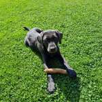 Ersteller:in Franzi Profilbild