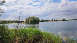 Hundeauslaufgebiet-Kieswerk Tornitz-Bild