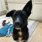 Ersteller:in Lisa Profilbild