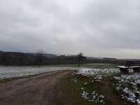 Hundeauslaufgebiet-Traumschleife Hunsrück-Bild