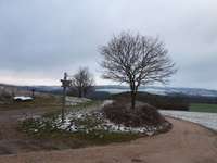 Hundeauslaufgebiet-Traumschleife Hunsrück-Bild