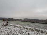 Hundeauslaufgebiet-Traumschleife Hunsrück-Bild
