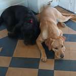 Ersteller:in Laura Profilbild