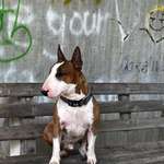 Ersteller:in Markus Profilbild