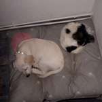 Ersteller:in Mick Profilbild