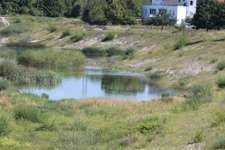 Hundeauslaufgebiet-Allach-Bild