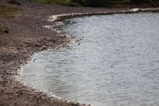 Hundeauslaufgebiet-Allach-Bild