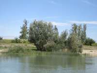 Hundeauslaufgebiet-Allach-Bild