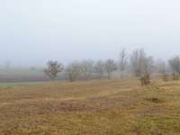 Hundeauslaufgebiet-Allach-Bild