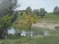 Hundeauslaufgebiet-Allach-Bild