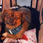 Ersteller:in Lisa Profilbild