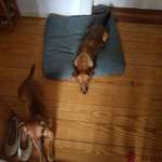 Ersteller:in Jonathan Profilbild