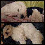 Ersteller:in Dagmar Profilbild