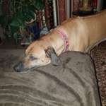 Ersteller:in Heiner Profilbild