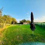 Hundeauslaufgebiet-Hundeplatz mieten-Bild