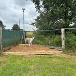 Hundeauslaufgebiet-Hundeplatz mieten-Bild