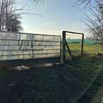 Hundeauslaufgebiet-Hundeplatz mieten-Bild