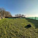 Hundeauslaufgebiet-Hundeplatz mieten-Bild
