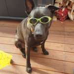 Ersteller:in Tobias Profilbild