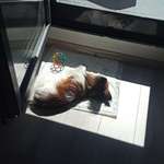 Ersteller:in Monika Profilbild