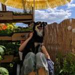 Ersteller:in Karin Profilbild