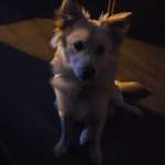 Ersteller:in Eli Profilbild