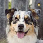 Ersteller:in Kerstin Profilbild