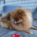 Ersteller:in Jasmin Profilbild