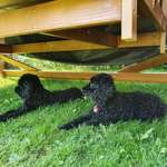 Ersteller:in M Profilbild