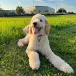 Ersteller:in Nina Profilbild