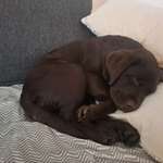 Ersteller:in Franziska Profilbild