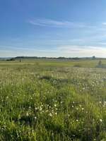 Hundeauslaufgebiet-Neundorfer Rundwanderweg-Bild