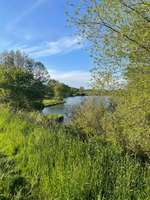 Hundeauslaufgebiet-Neundorfer Rundwanderweg-Bild