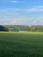 Hundeauslaufgebiet-Neundorfer Rundwanderweg-Bild