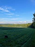 Hundeauslaufgebiet-Neundorfer Rundwanderweg-Bild