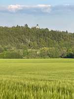 Hundeauslaufgebiet-Neundorfer Rundwanderweg-Bild