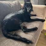 Ersteller:in Nadja Profilbild