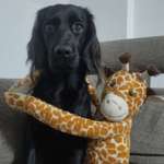 Ersteller:in Nadja Profilbild