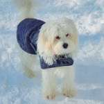 Ersteller:in Catrin Profilbild