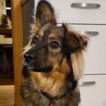 Ersteller:in Desiree Profilbild