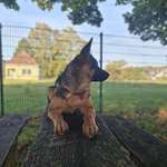 Ersteller:in Lina Profilbild